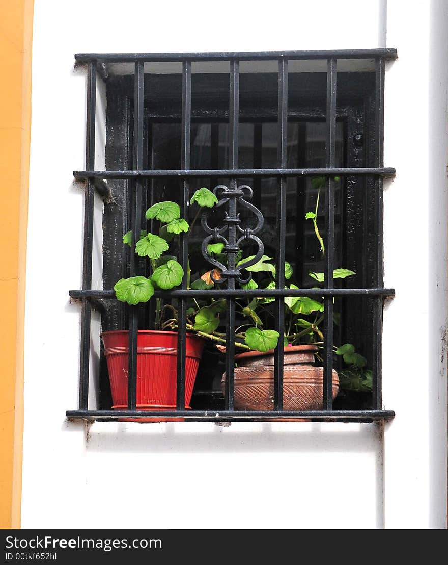 Flowers in the window with iron decorations