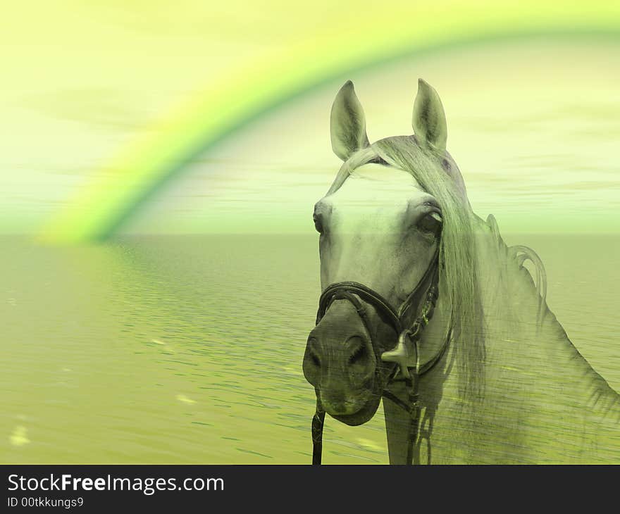 Wonderful horse under a colorful rainbow. Wonderful horse under a colorful rainbow