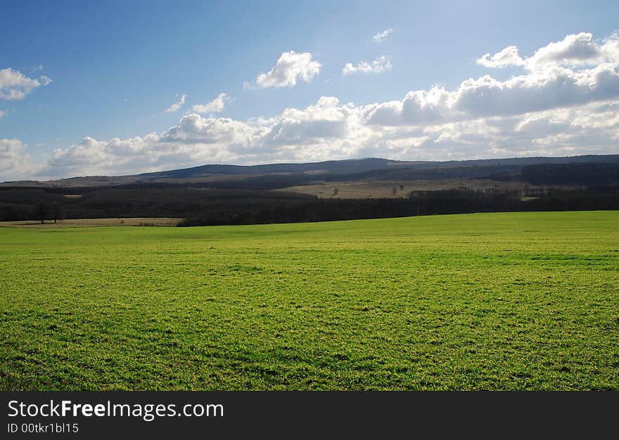 Green grass and blue sky. Green grass and blue sky