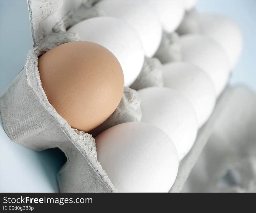 One brown egg in the midst of white eggs