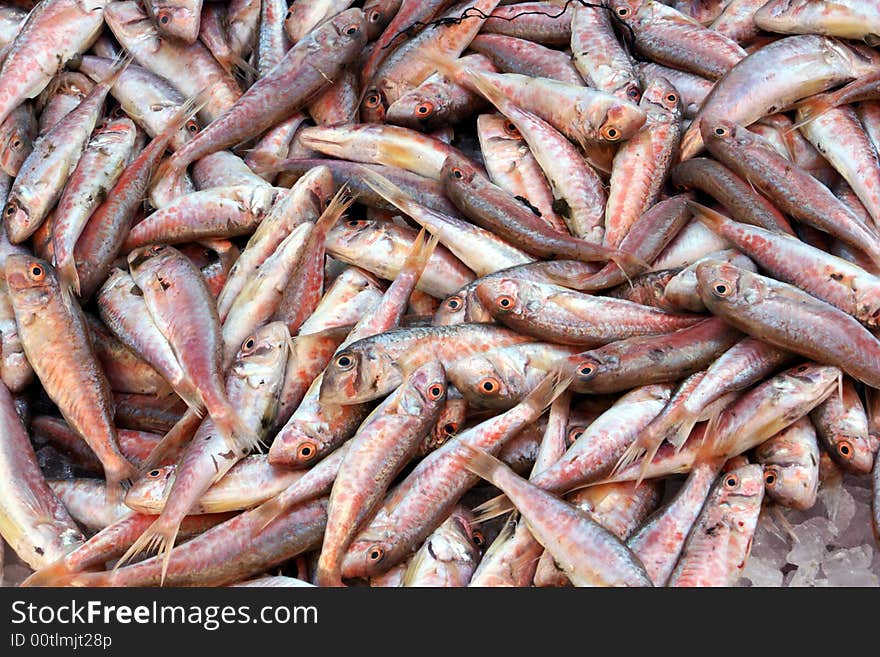 Red mullets in local fish market