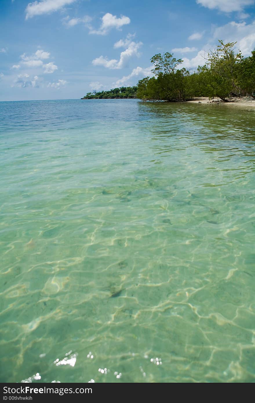 Water In Tropical Setting