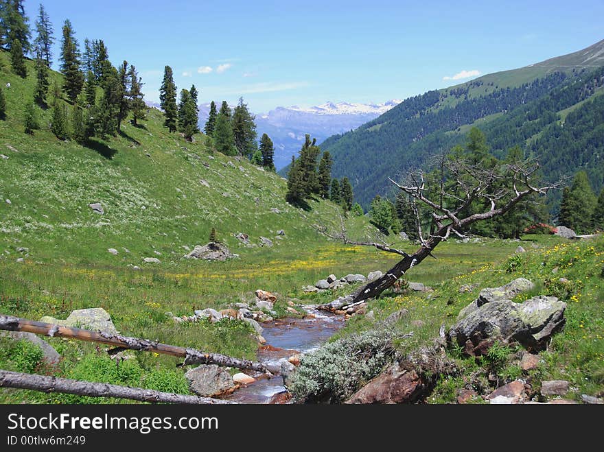 A walk in the mountains a Summer Day