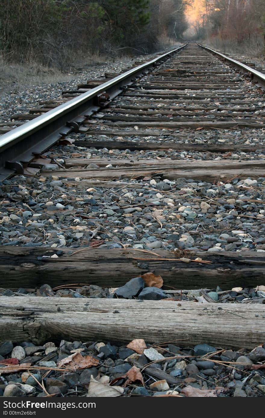 A set of railroad tracks trailing off into the distance.