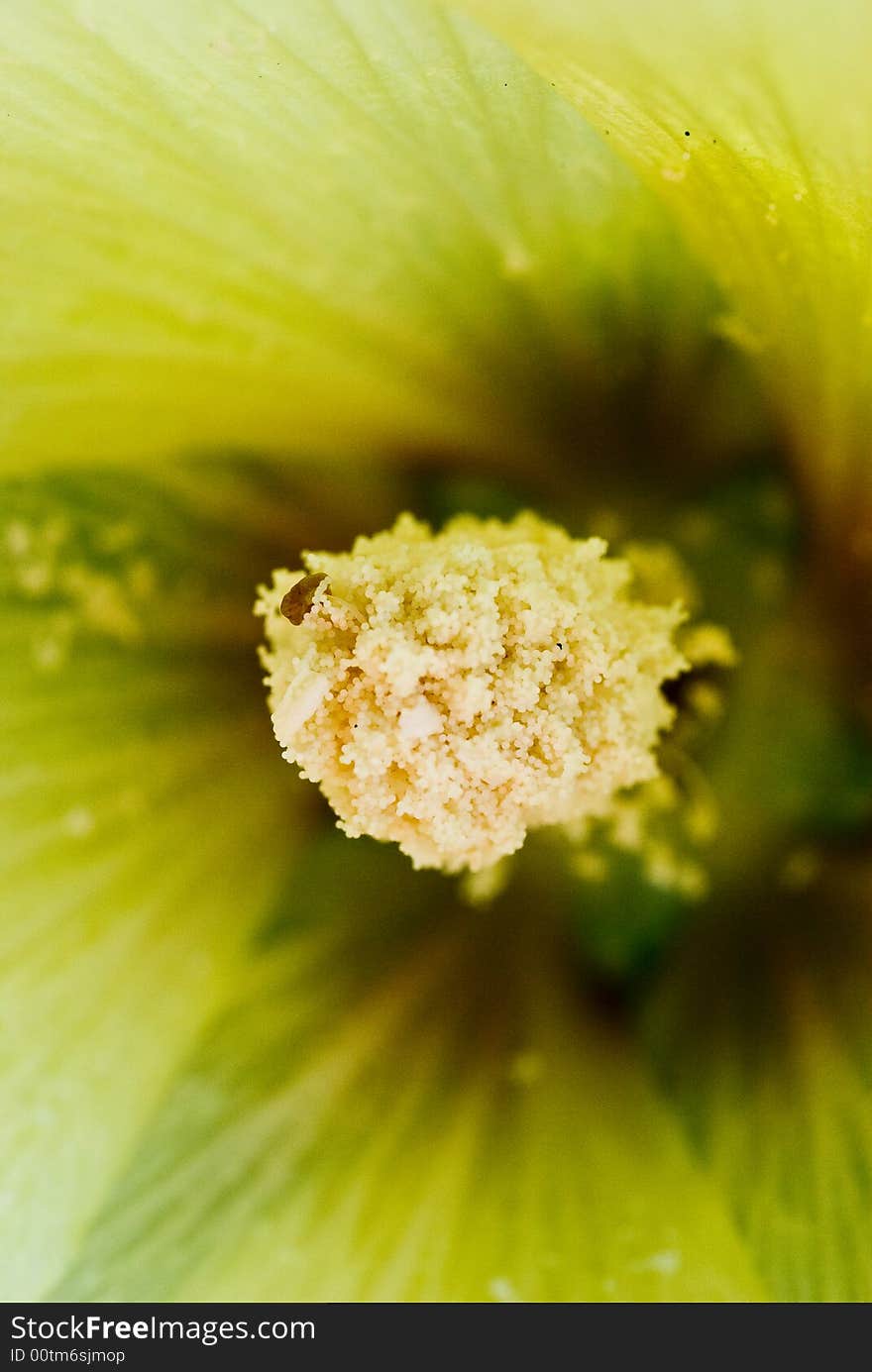 Pollen sphere