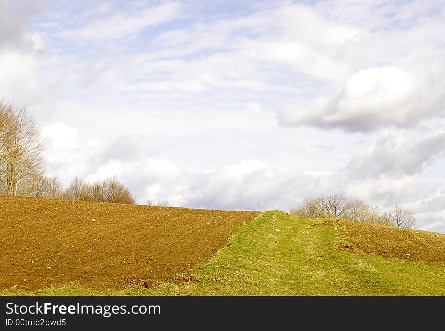 Field with blue sky and trees in background. Field with blue sky and trees in background