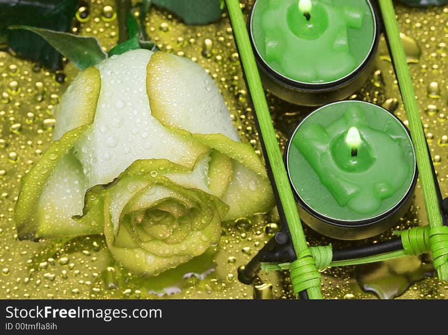 Row Of Green Candles With Rose