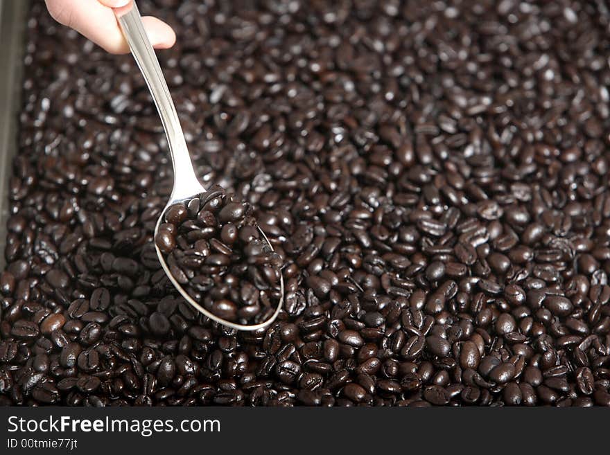 A hand holding a spoon full of coffee beans