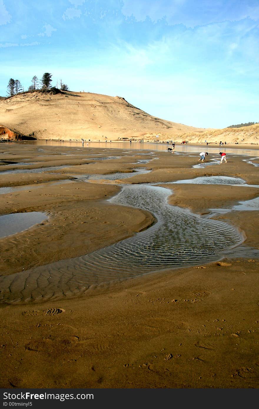 Tide Water on Oregon Beach