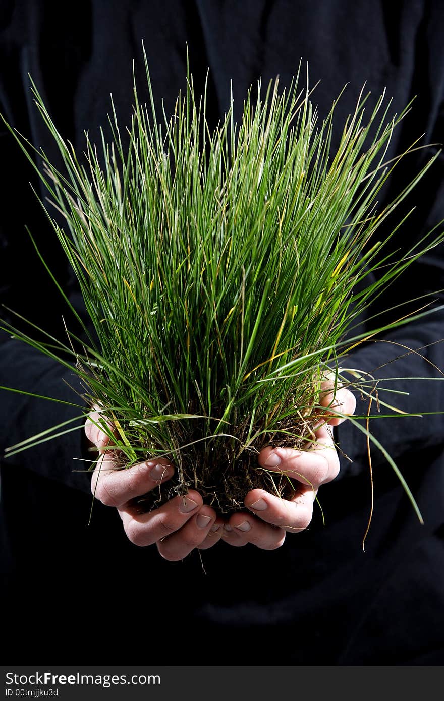 A person holding a small plant in the studio. A person holding a small plant in the studio