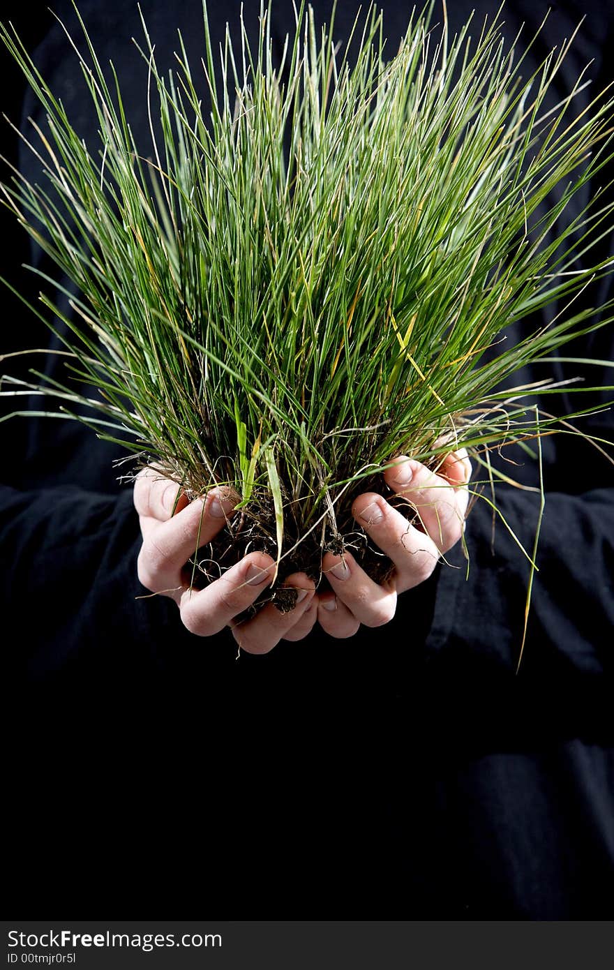 A person holding a small plant in the studio. A person holding a small plant in the studio