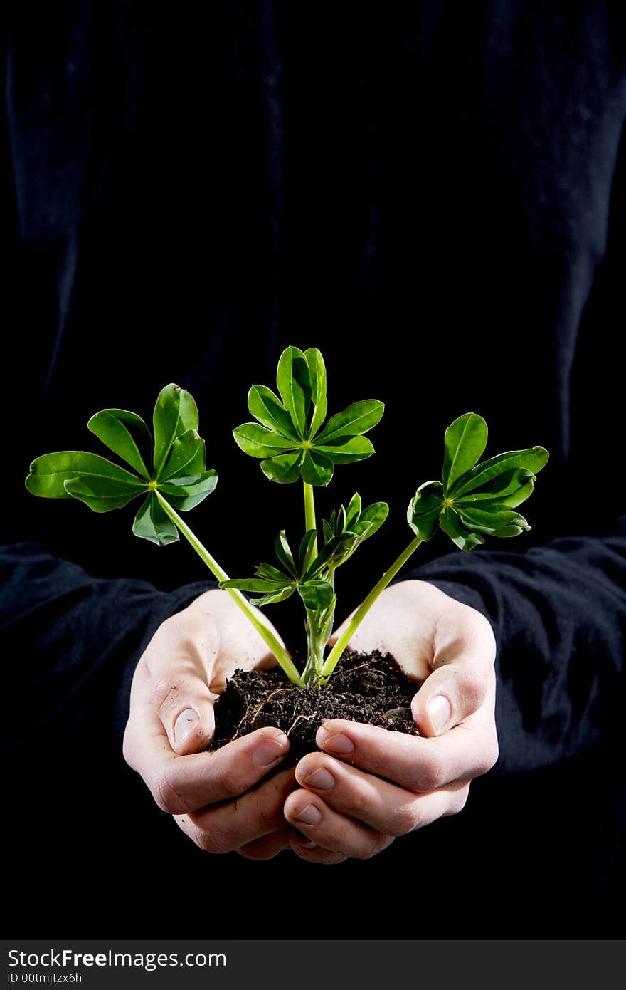 A person holding a small plant in the studio. A person holding a small plant in the studio