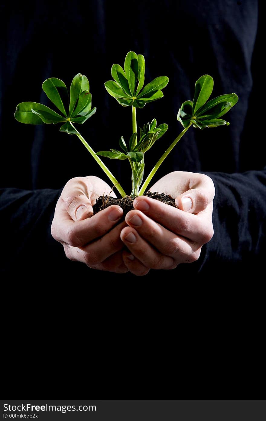 A person holding a small plant in the studio. A person holding a small plant in the studio