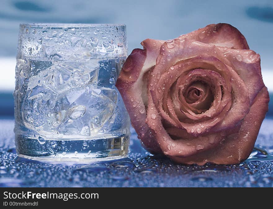 Glass With Water And Rose