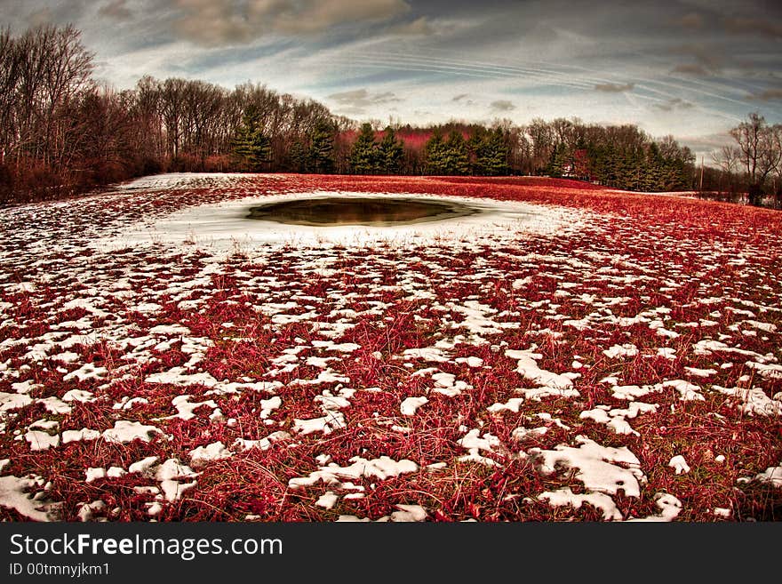 A wide angle shot of a pink field with some snow. A wide angle shot of a pink field with some snow