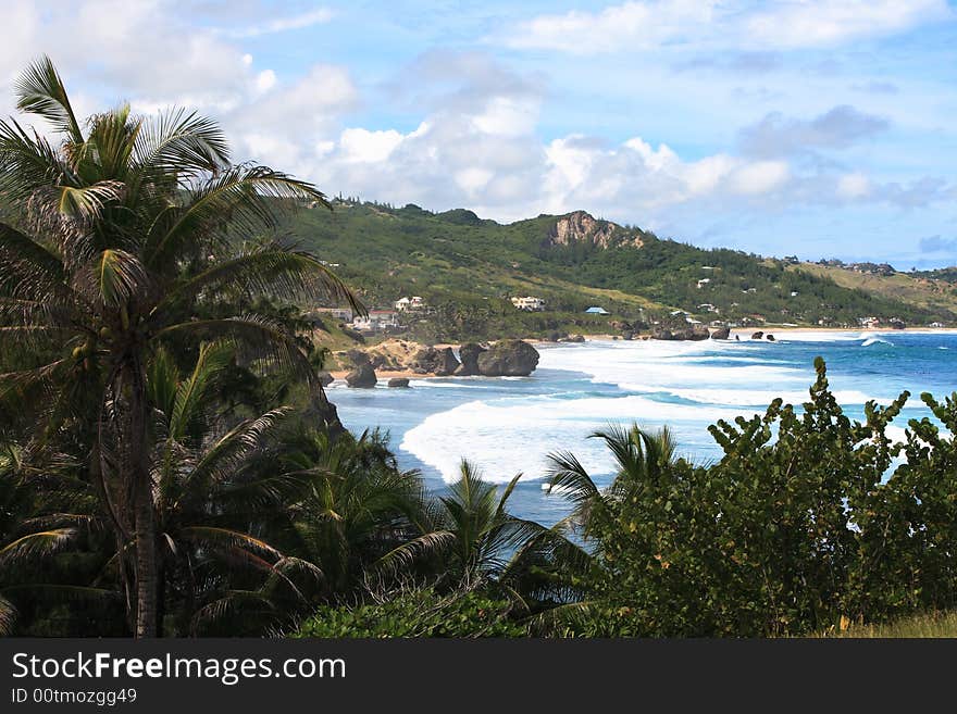 Over looking a tropical beach on the island of barbados. Over looking a tropical beach on the island of barbados