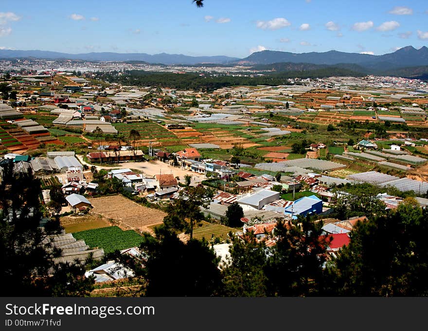 Highland fields at dalat vietnam