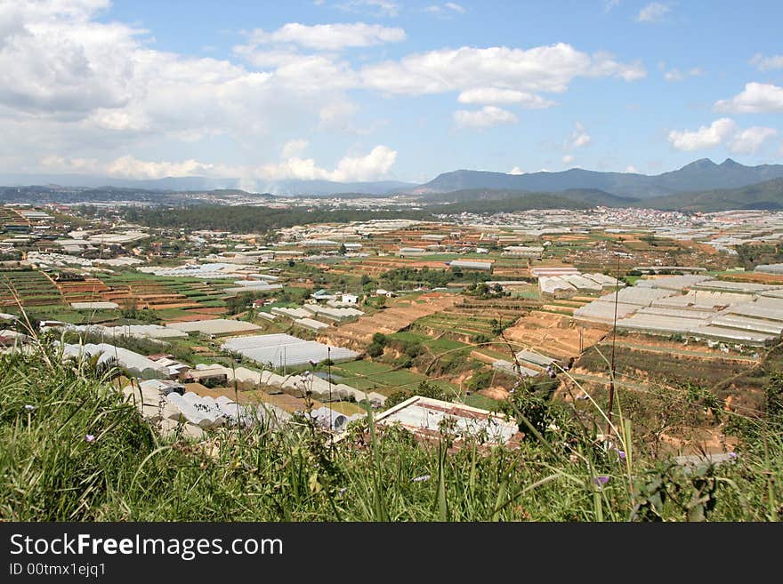 Highland fields at dalat vietnam