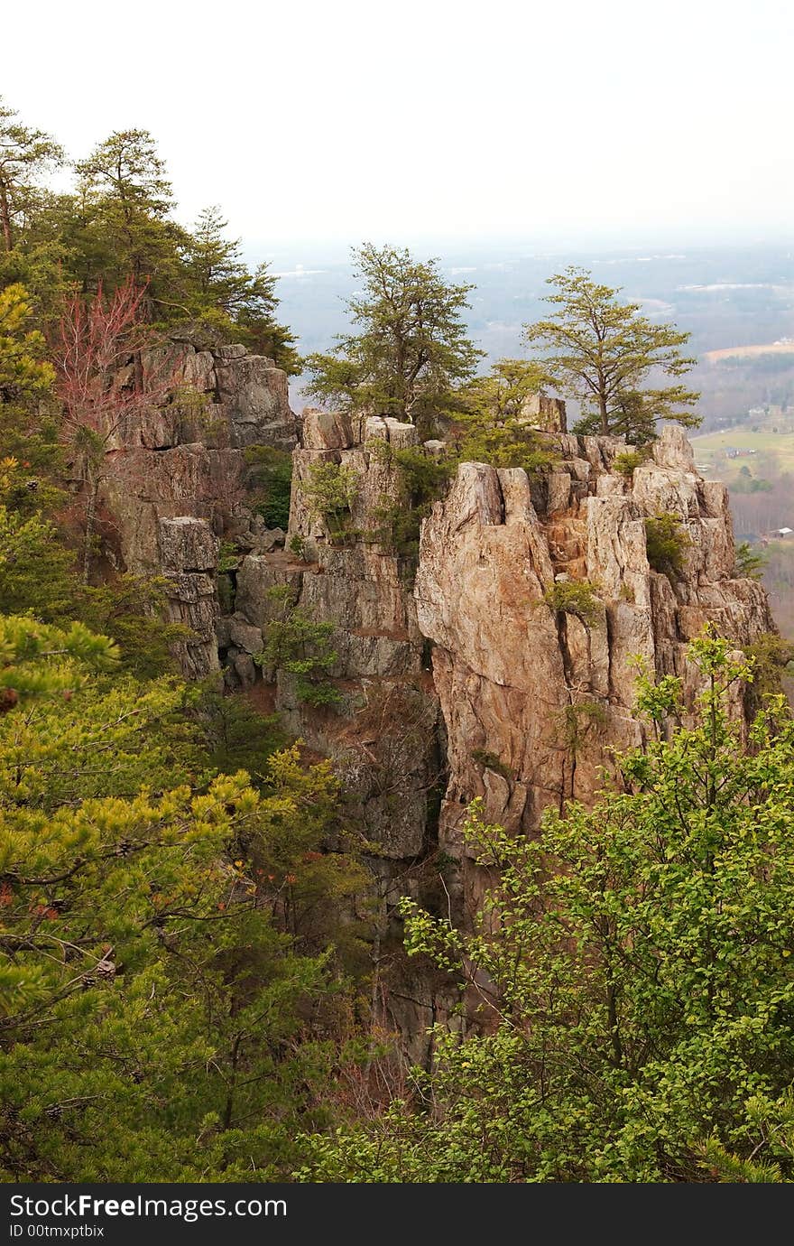 A scenic view of a cliff side with trees all around. A scenic view of a cliff side with trees all around.