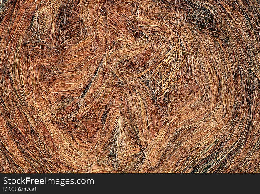 Close-up of ten reams of hay lying on the meadow after haying