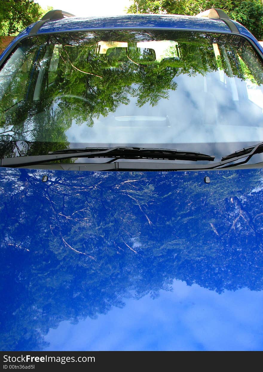 Reflection Of Trees