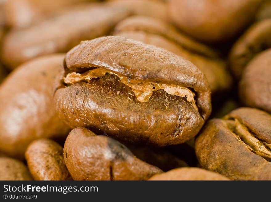 Macro shot of grain against the backdrop of coffee beans rassypavnyh. Macro shot of grain against the backdrop of coffee beans rassypavnyh