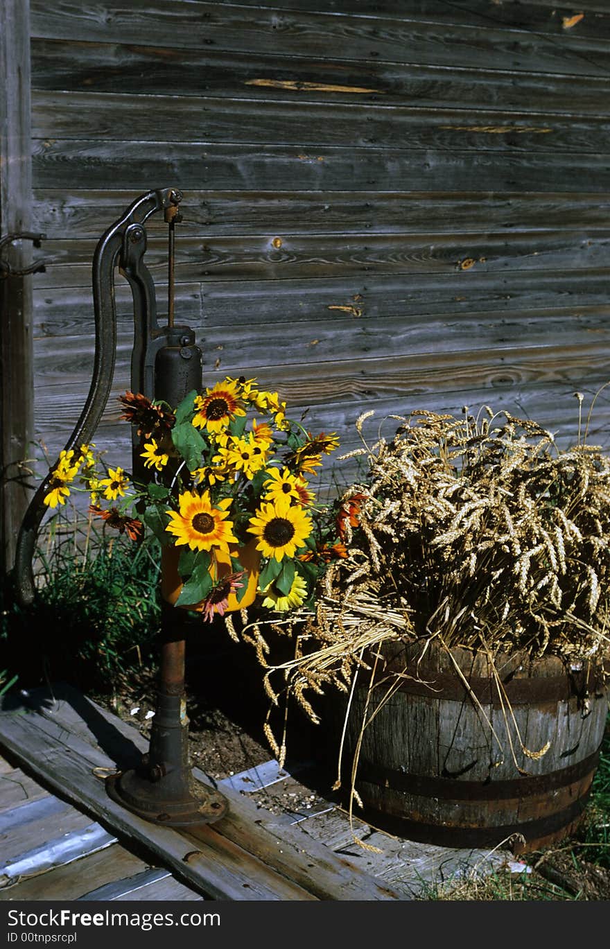 A pump turned into a vase for flowers. A pump turned into a vase for flowers