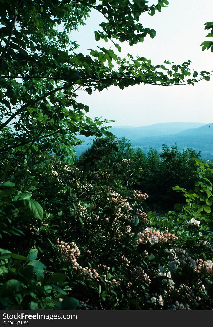 A view from ontop of a mountain. A view from ontop of a mountain