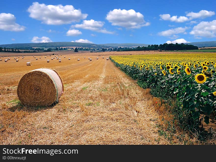 Photo of sunflower and hay taken on beautifull suny and cloudy day in france. Photo of sunflower and hay taken on beautifull suny and cloudy day in france