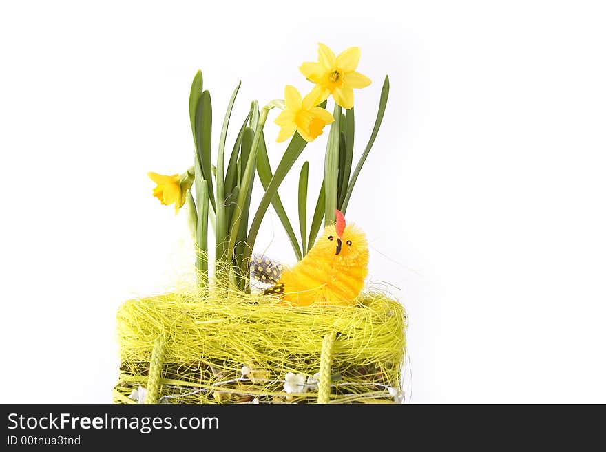 Chick in basketry