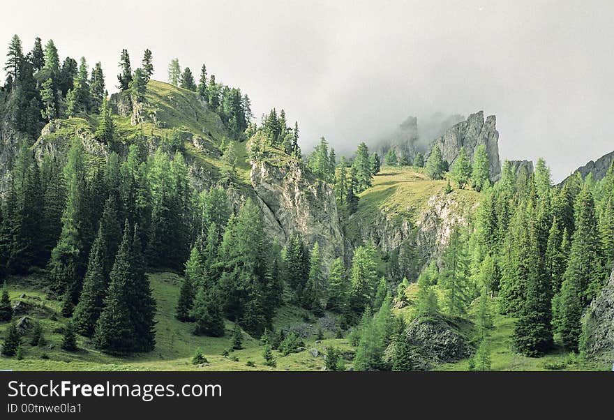 View of Dolomites mountains in Italian Alps showing pine trees and rocks in an amazing sunny and foggy atmosphere.