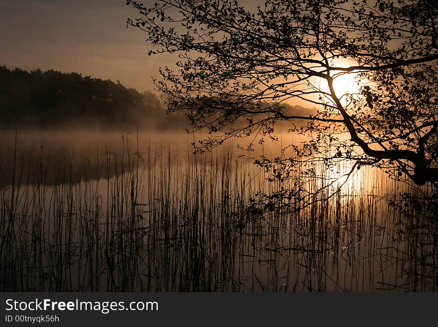 Mist over the lake