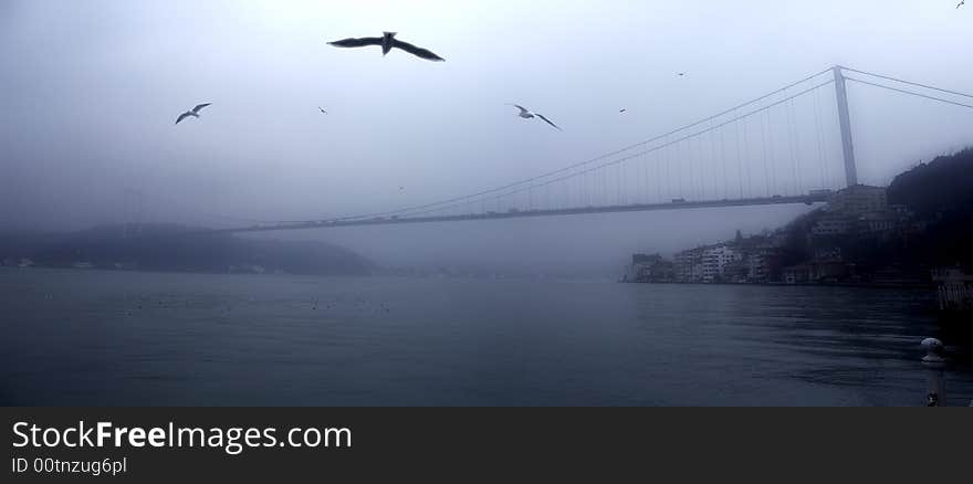 Bogazici Bridge on misty day morning from Baltalimani Hospital garden