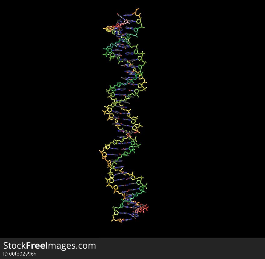 Structure of a small part of human DNA. This is the nature shape of DNA in human body. The structure was measured by X-RAY diffraction method. The DNA double strands are shown. Different colors represent the different molecular temperature