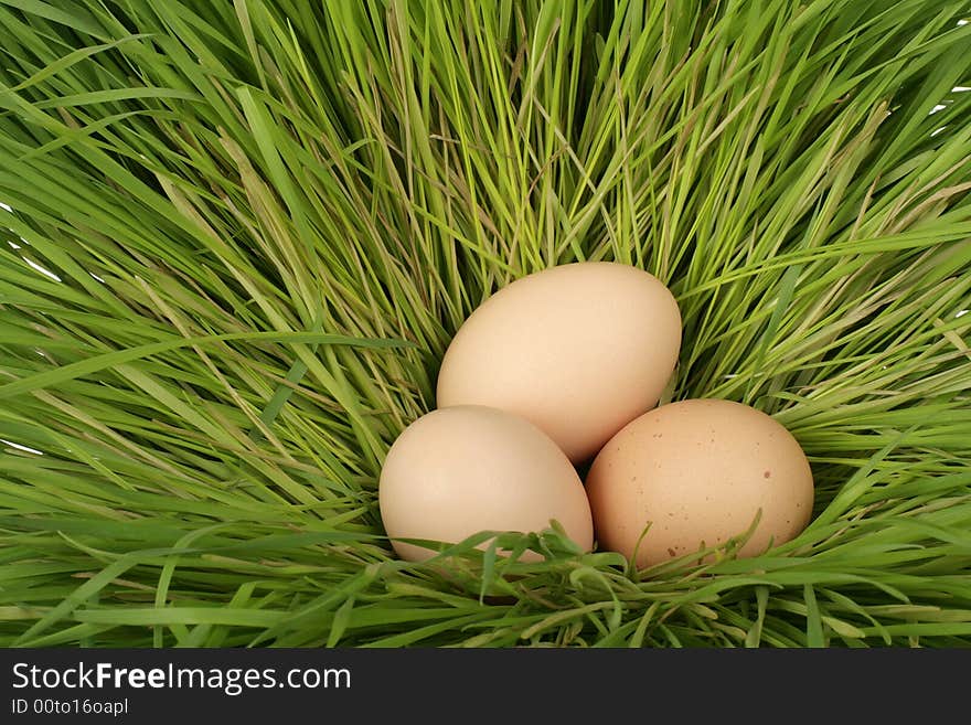 Three easter eggs in a grass nest