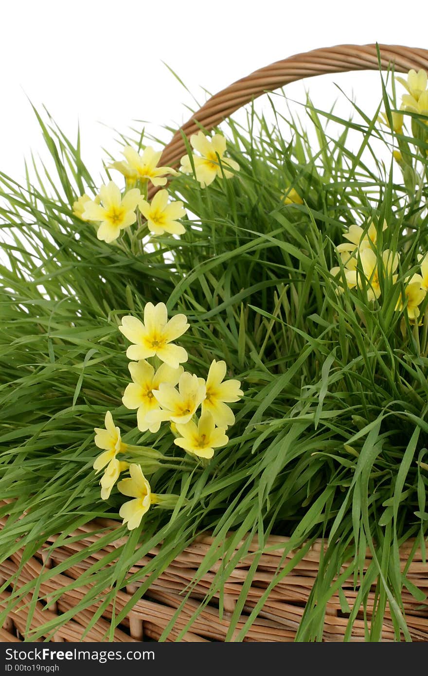 Yellow flowers in basket with fresh grass