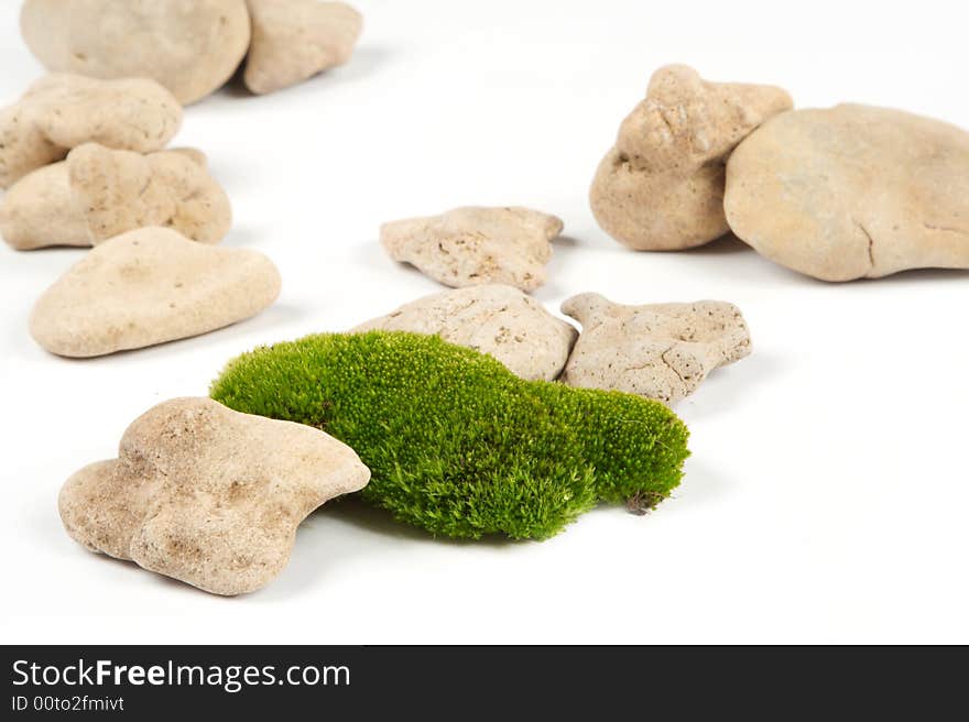 Green moss and grey stones on a white background