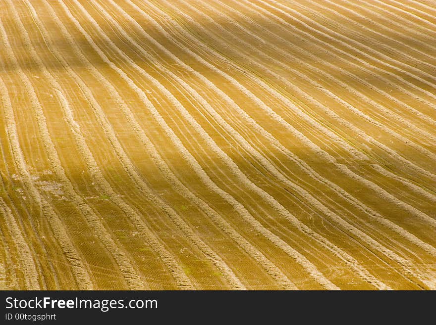 After The Harvest