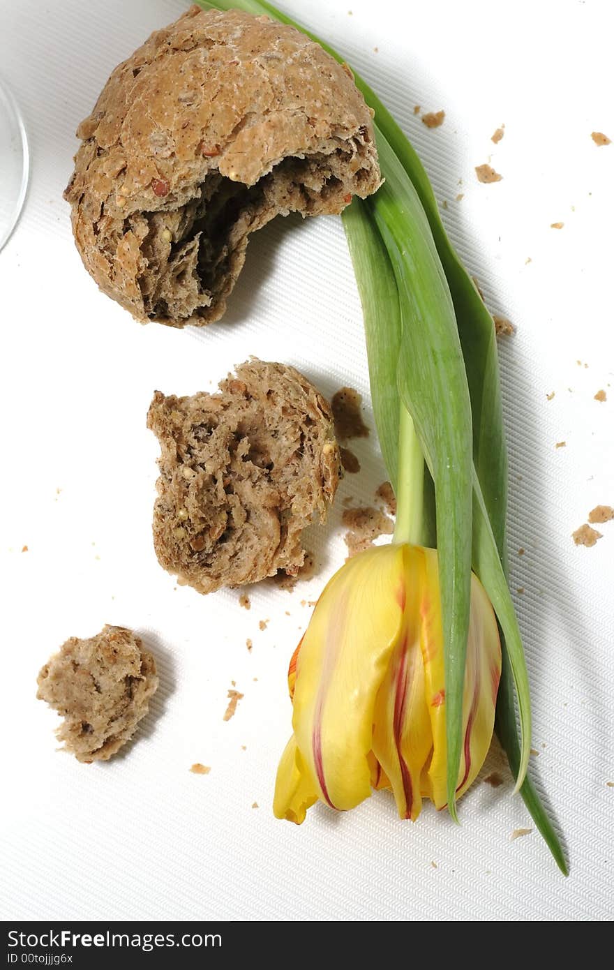 Yellow tulip and a lot of crumbs of bread. Yellow tulip and a lot of crumbs of bread