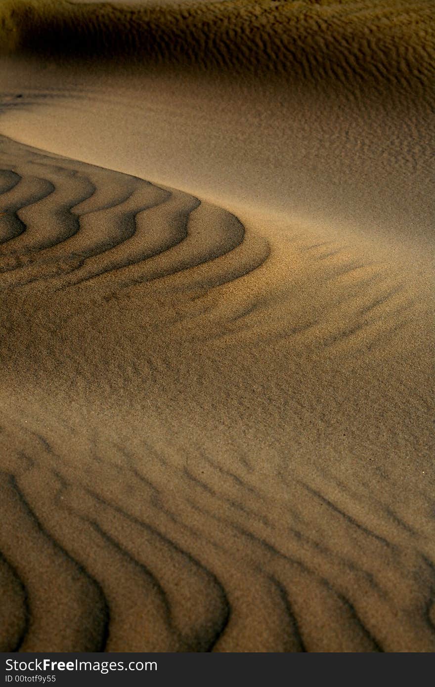 Sand dunes on desert ground