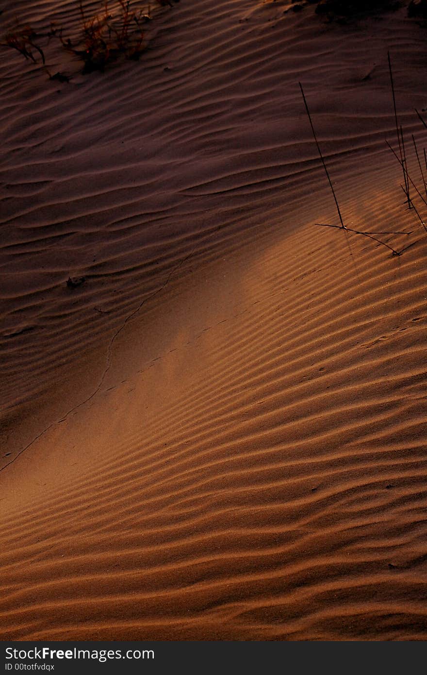 Sand dunes on desert ground