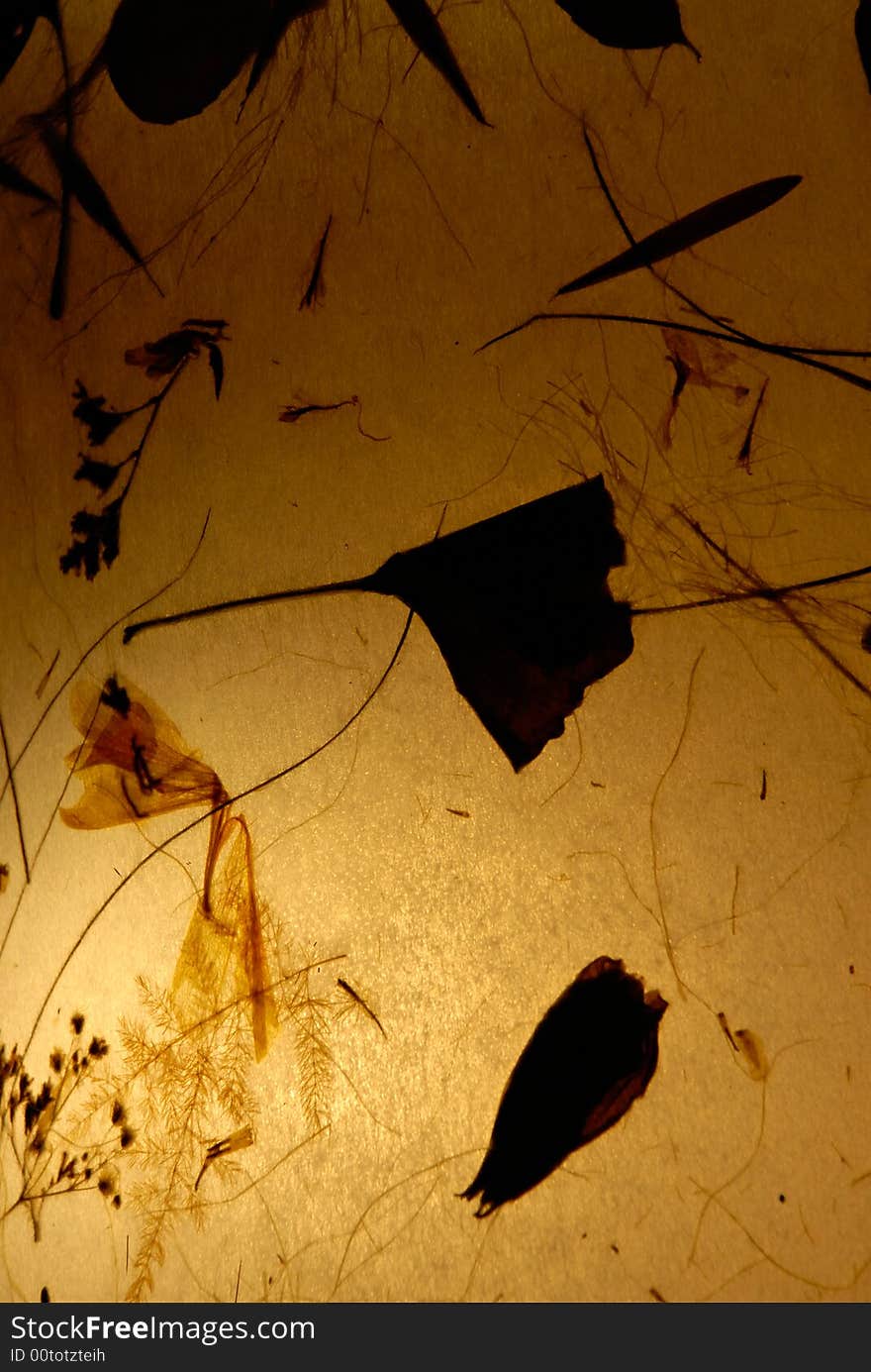 Yellow paper with background light and shadows of twigs. Yellow paper with background light and shadows of twigs