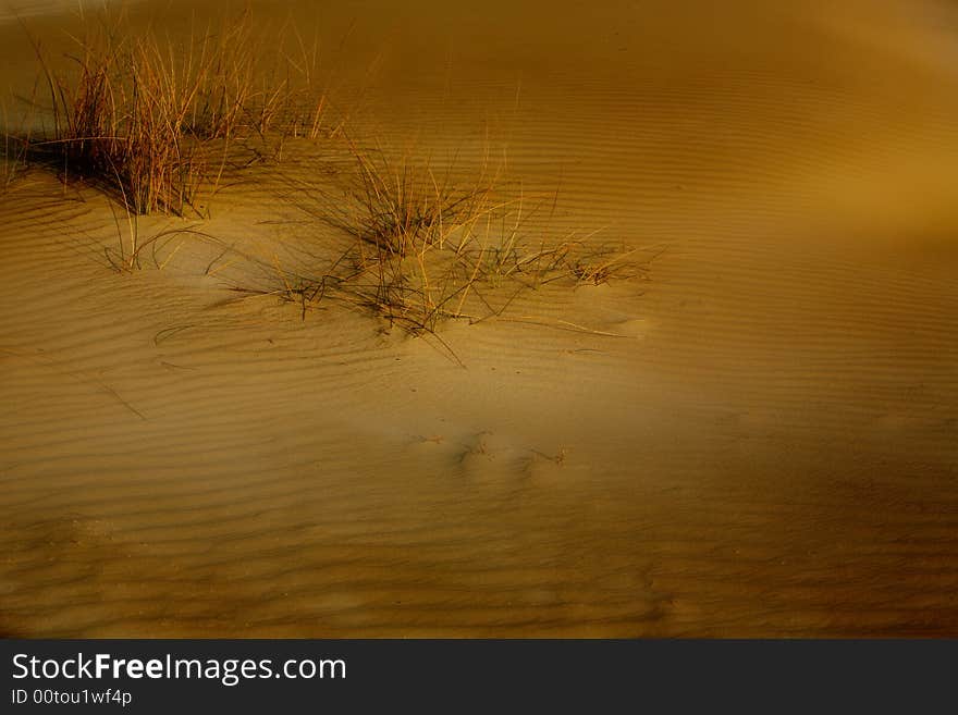 Sand dunes on desert ground