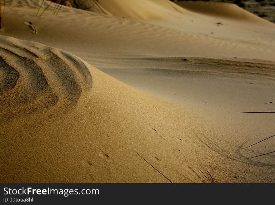 Sand dunes on desert ground