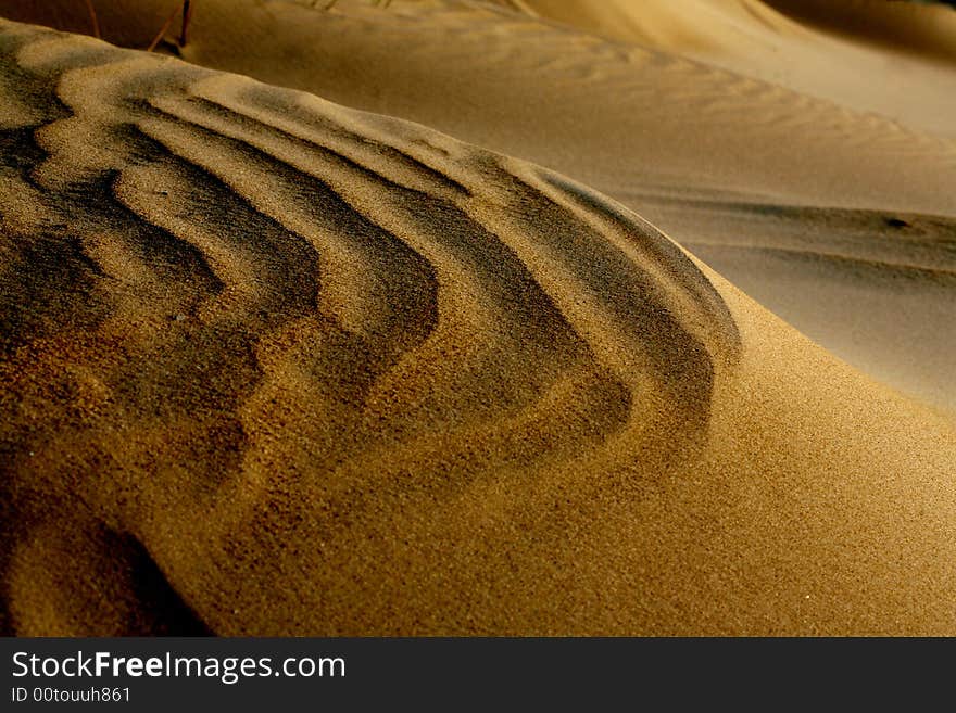 Sand dunes on desert ground