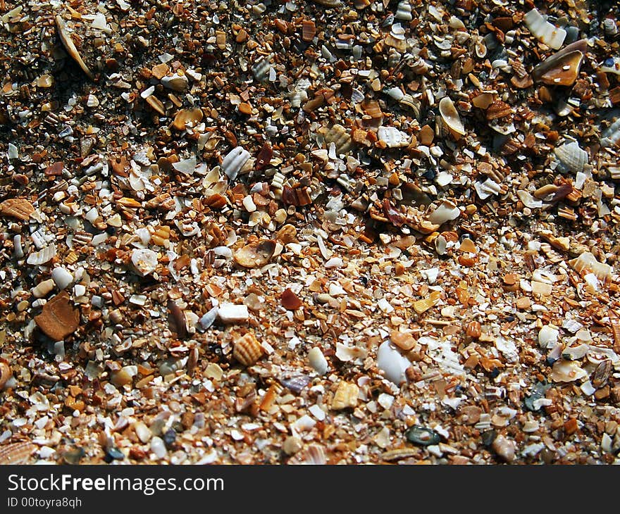 Closeup of broken seashells on the beach shore. Closeup of broken seashells on the beach shore.