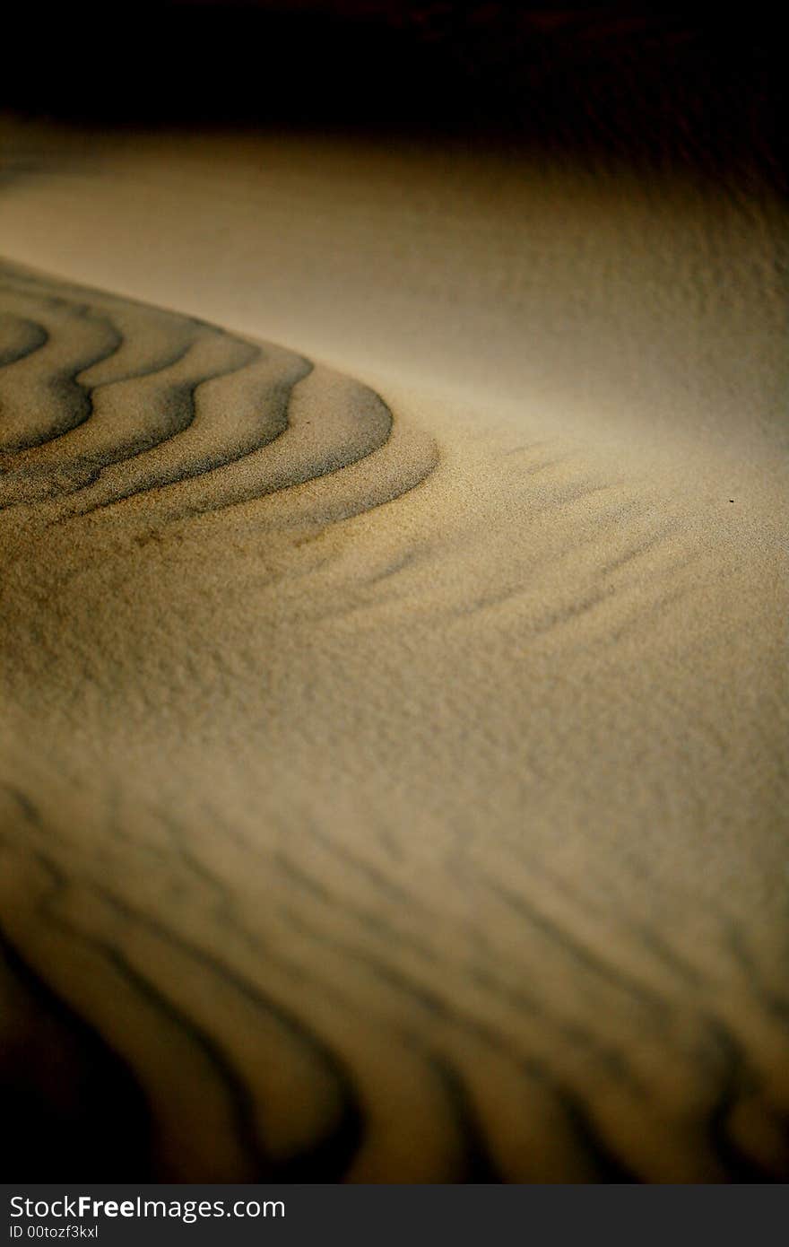 Sand dunes on desert ground