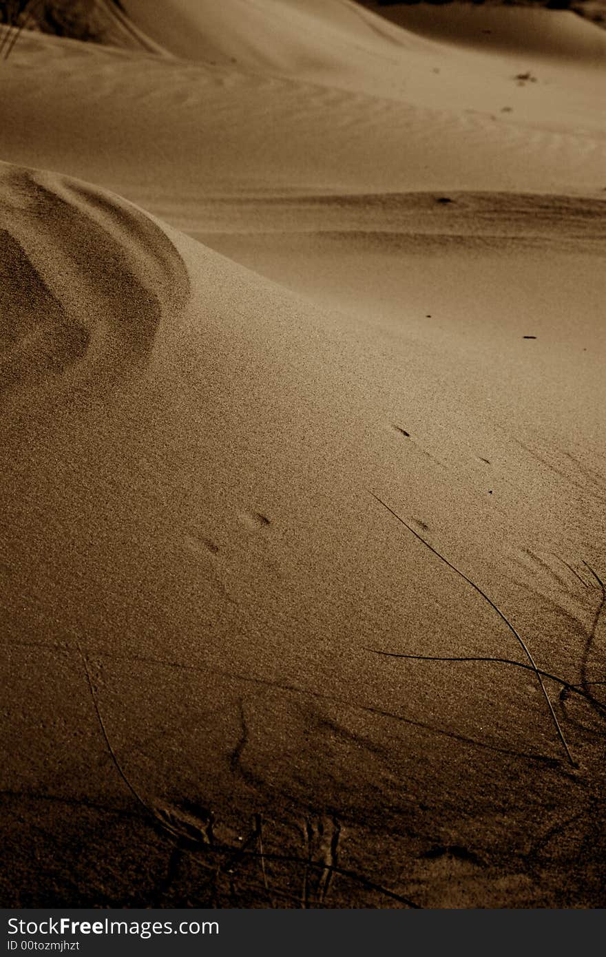 Sand dunes in the naturak desert