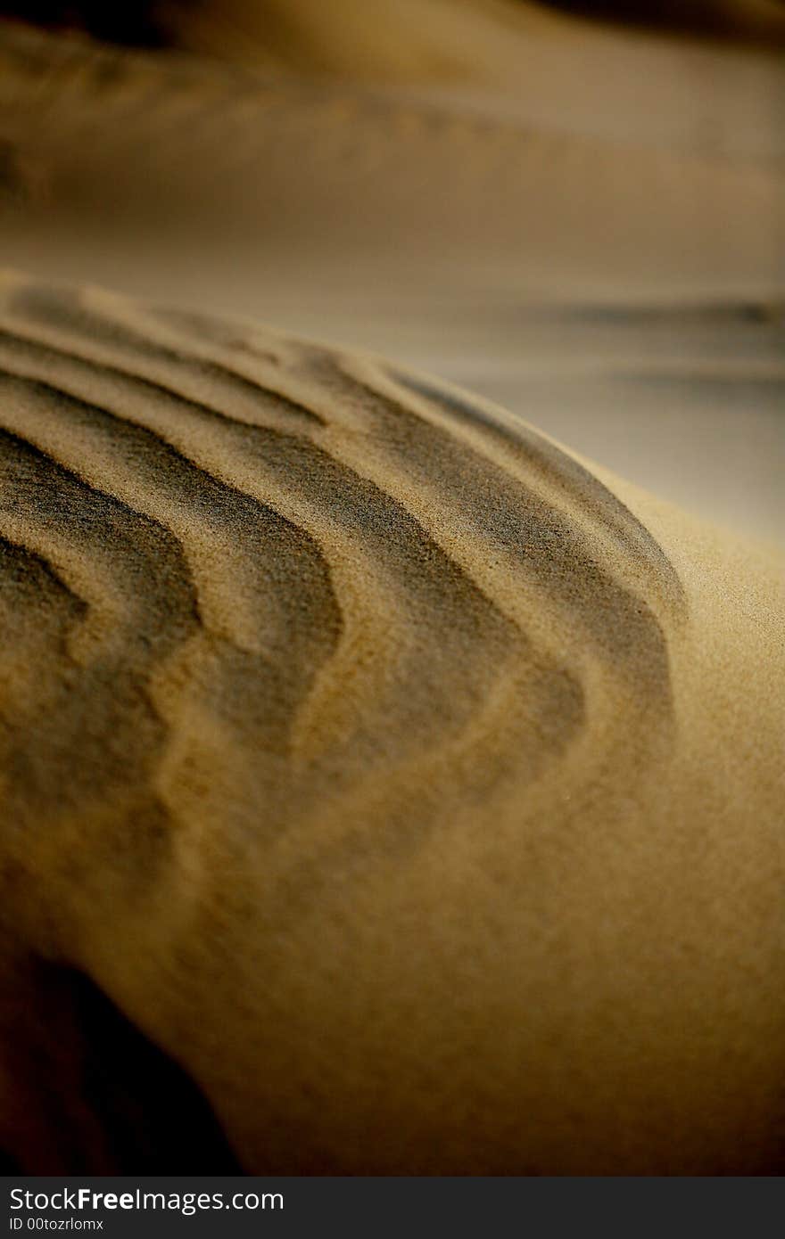 Sand dunes on desert ground