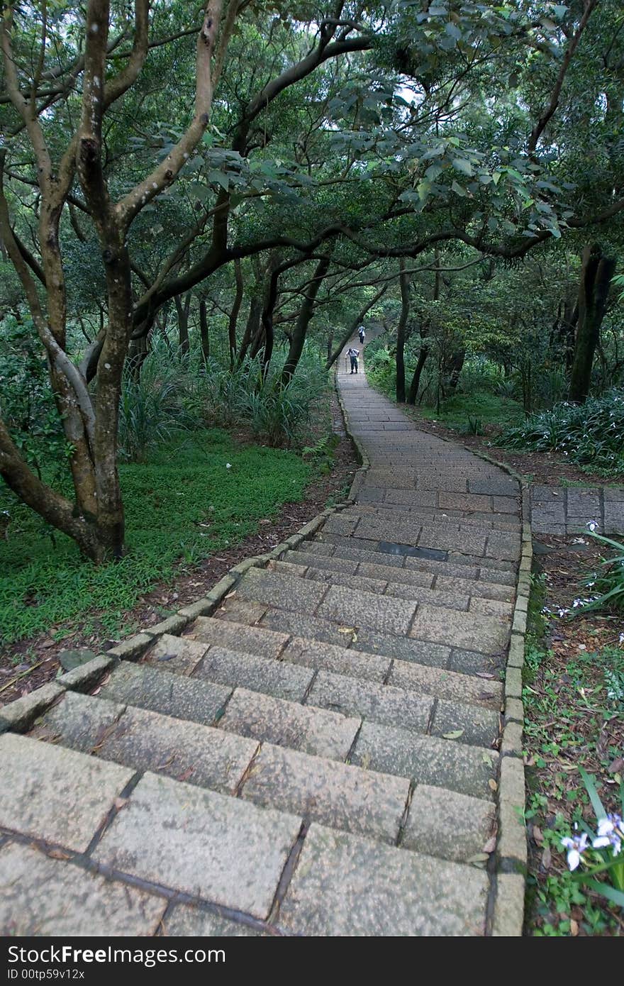 Trail with steps vanish into the distance with greenery surrounding it. Trail with steps vanish into the distance with greenery surrounding it.